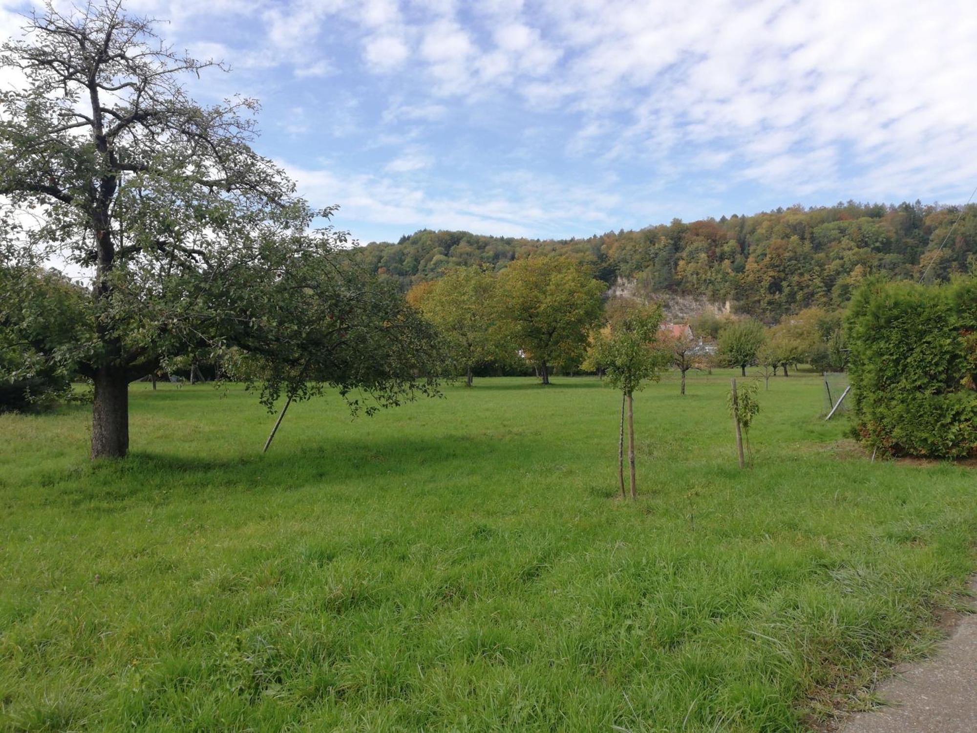 Am Bach Apartment